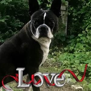 Meet your Posher, Deborah